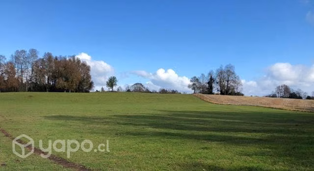 Venta Terreno 5.000 m2 a minutos de Villarrica
