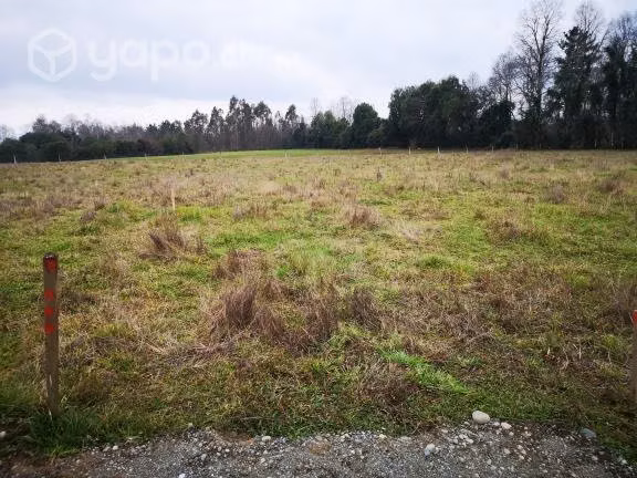 Venta Terreno 5.000 m2 a minutos de Villarrica