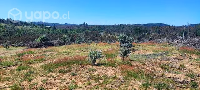Venta de Terreno - Imagen 15