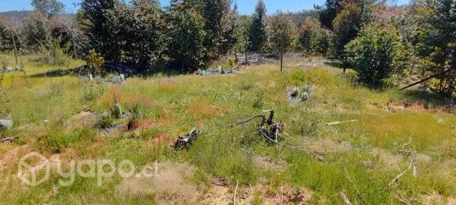 Venta de Terreno - Imagen 11