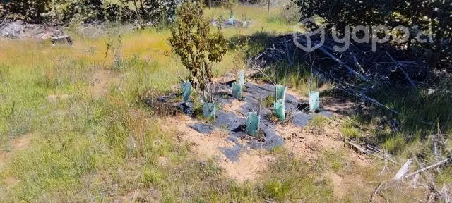 Venta de Terreno - Imagen 8