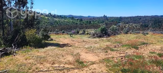 Venta de Terreno - Imagen 14