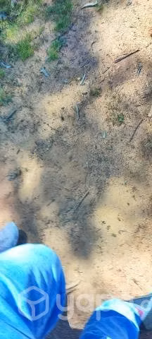 Venta de Terreno - Imagen 5