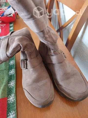 Bota