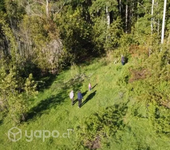 5 ha. Sector el Trébol región de los Ríos - Imagen 3