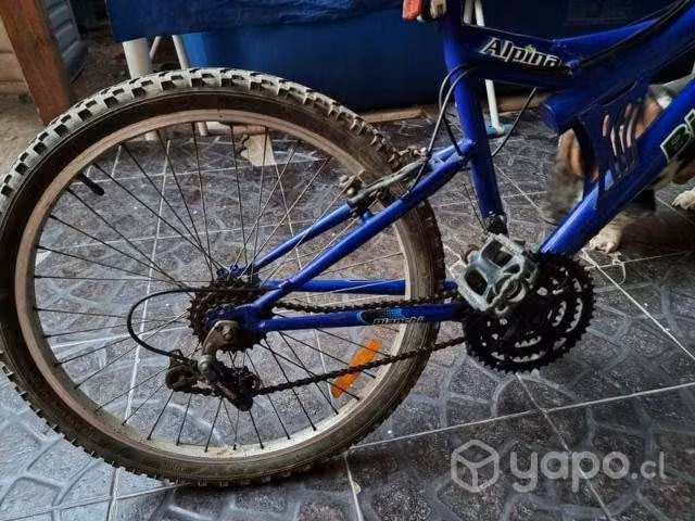 Bicicleta Bianchi - Imagen 2