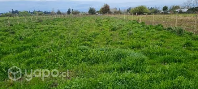 Muy hermoso terreno retiro-longavi - Imagen 10
