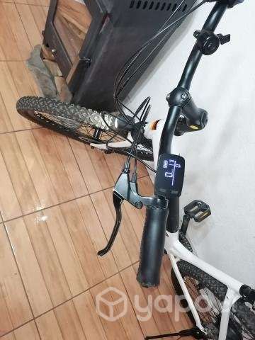 Volmark aro 29 - Imagen 3