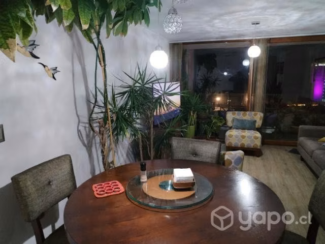 Arriendo departamento por noches ,mínimo tres noch