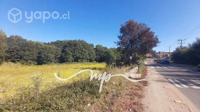 INVERSION COMERCIAL EN SECTOR DE CRECIENTE DINAMIS