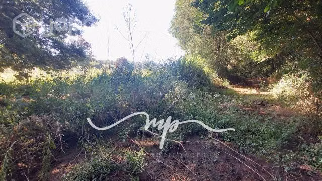 INVERSION COMERCIAL EN SECTOR DE CRECIENTE DINAMIS