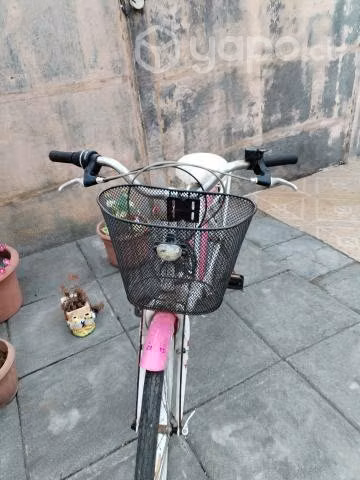 Bicicleta de paseo, bajó de precio
