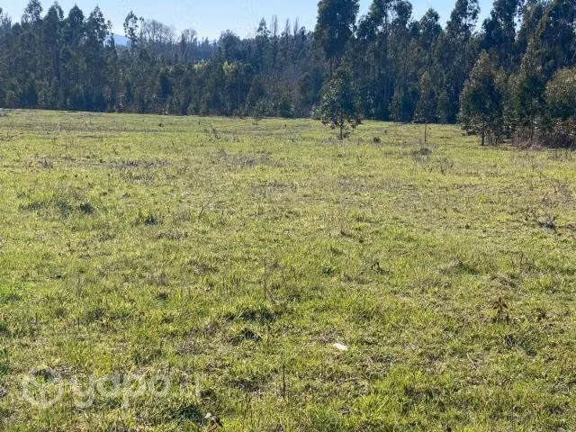 Altos de Millahuin en las cercanías de Villarric