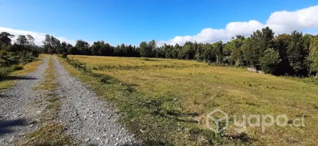 Campo a 32 km de Puerto Varas - Imagen 5