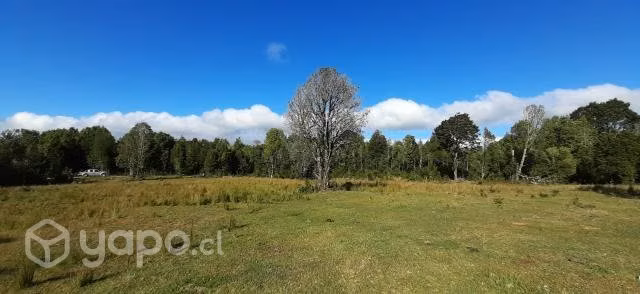 Campo a 32 km de Puerto Varas - Imagen 6