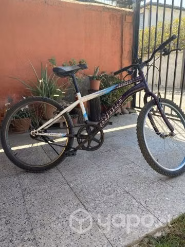 Bicicleta Wolf - Imagen 5