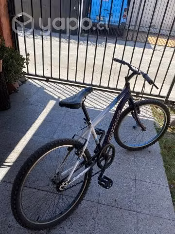 Bicicleta Wolf - Imagen 4