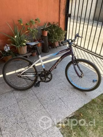 Bicicleta Wolf