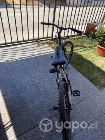 Bicicleta Wolf - Imagen 3