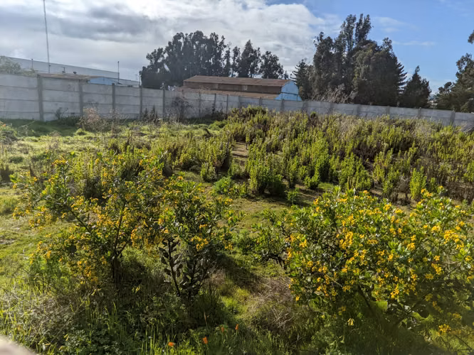 Terreno los pinos en reñaca, conversable