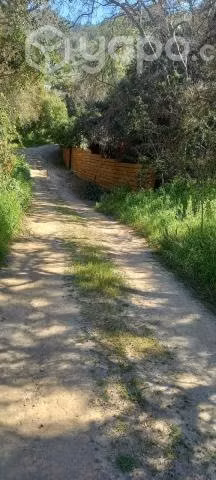 Terreno en condominio Princesa Sofía La Aurora - Imagen 4