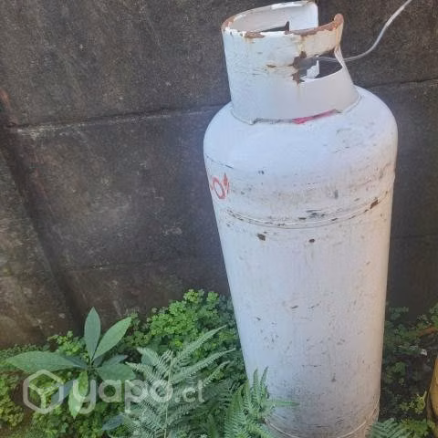 Galón de gas 45 kg - Imagen 2