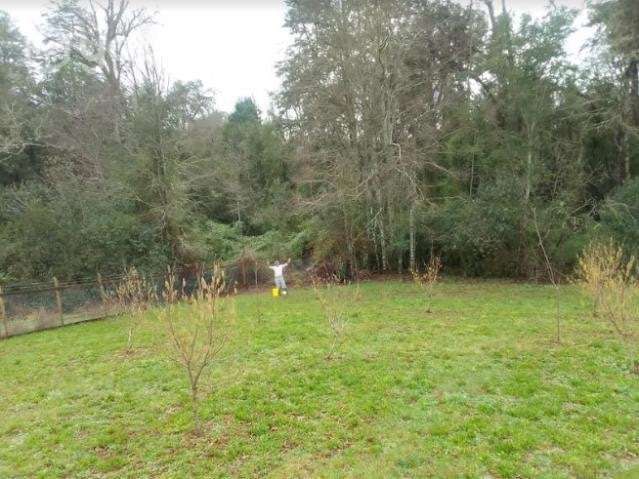 Hermosa parcela 5.100 m2 vende su dueño - Imagen 6
