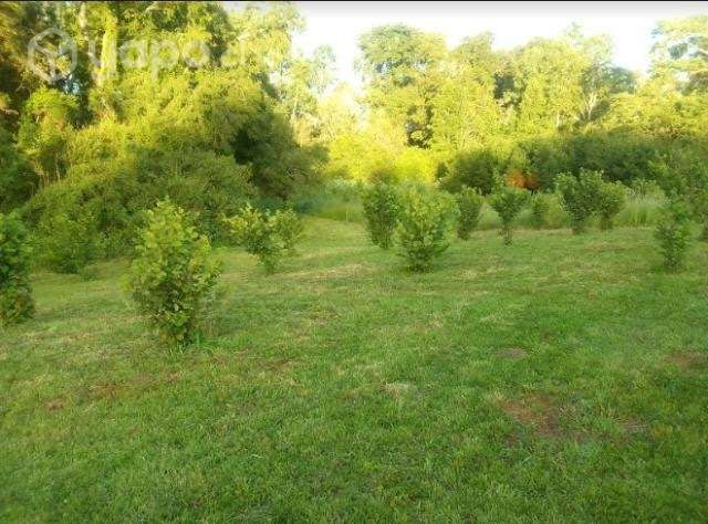 Hermosa parcela 5.100 m2 vende su dueño - Imagen 4