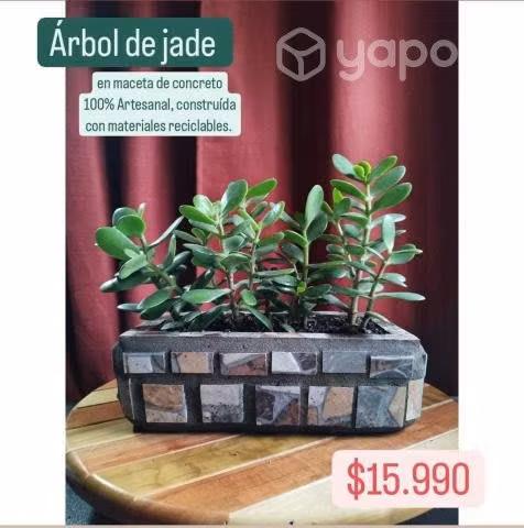 Kokedamas y plantas en maceteros artesanales