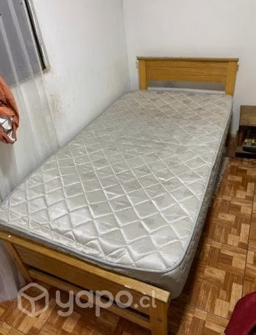 Cama