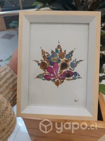 Cuadros de flores prensadas