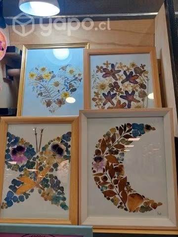 Cuadros de flores prensadas