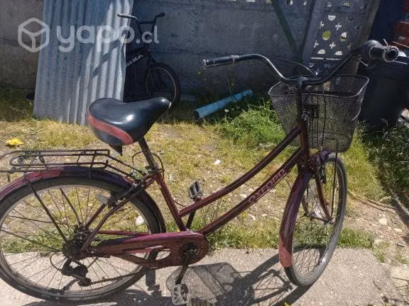 Bicicleta de paseo