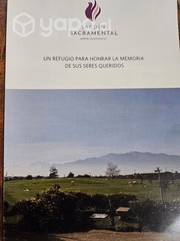 Vendo sepultura