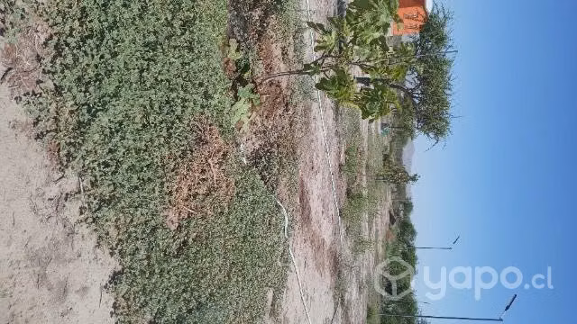 Se vende parcela Valle Fertil