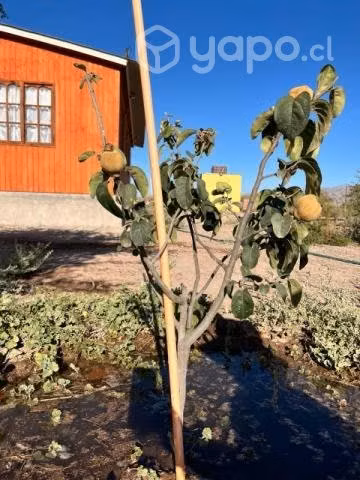 Se vende parcela Valle Fertil