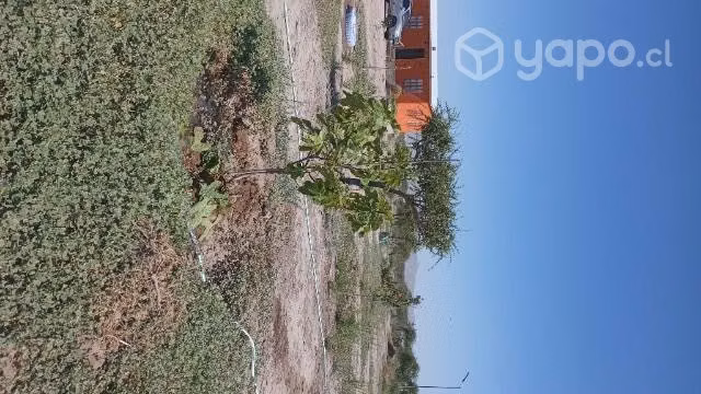 Se vende parcela Valle Fertil
