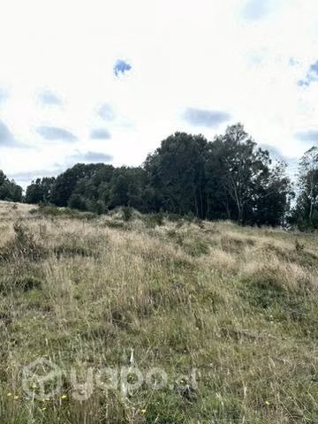 Remate 10000 m2  terreno.