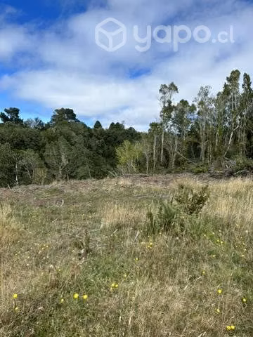 Remate 10000 m2  terreno.