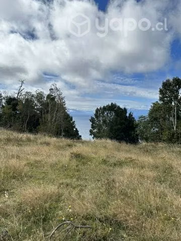 Remate 10000 m2  terreno.