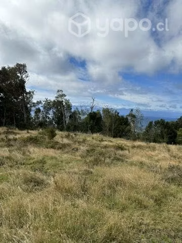 Remate 10000 m2  terreno.