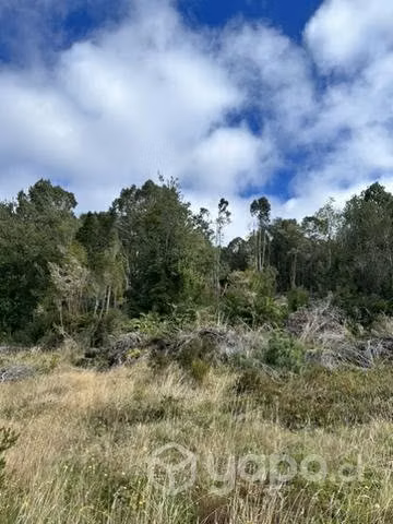 Remate 10000 m2  terreno.