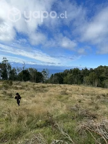 Remate 10000 m2  terreno.