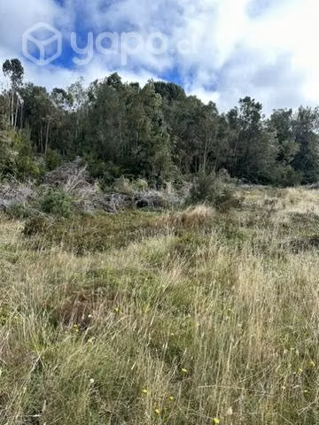 Remate 10000 m2  terreno.