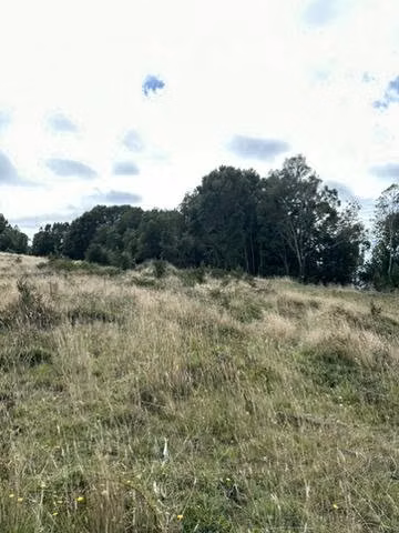 Remate 10000 m2  terreno.
