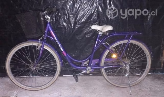 Bicicletas de paseo