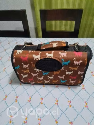 Pack cama y transportador