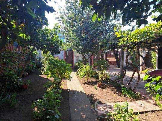 Se Vende Propiedad - Imagen 4