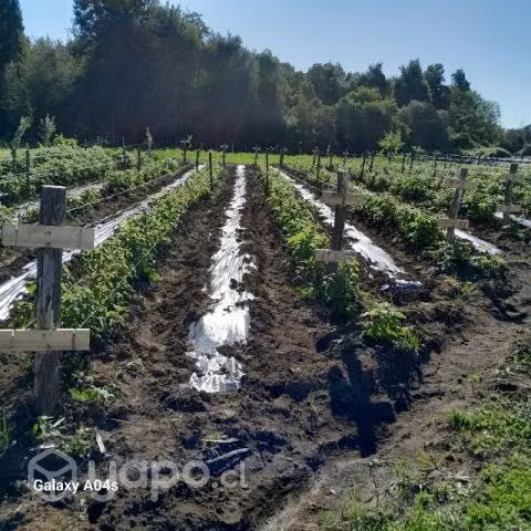 Oportunidad única, espectacular parcela