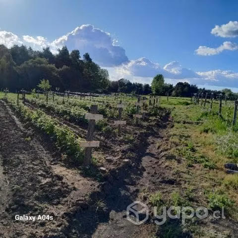 Oportunidad única, espectacular parcela
